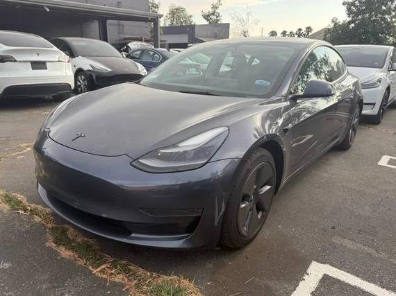 TESLA MODEL 3 2021 5YJ3E1EA1MF097450 image